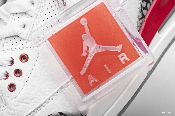 136064-116 3 Hall of  Fame Jordan Retro 0303